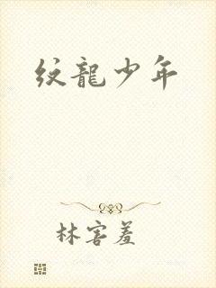 纹龙少年