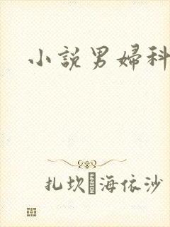 小说男妇科医生