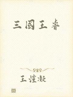 三国王睿