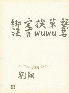 绑定挨草系统后没有wuwu名字