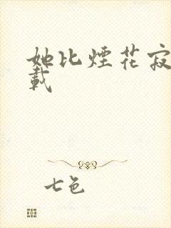 她比烟花寂寞下载