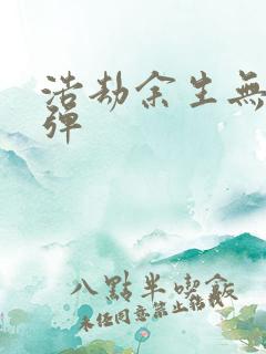 浩劫余生无限子弹