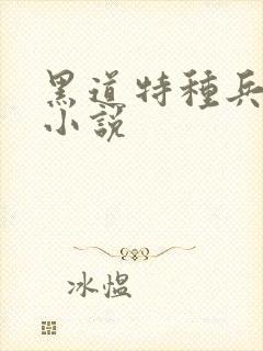 黑道特种兵有声小说