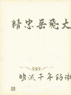 精忠岳飞大结局