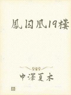 凤囚凰19楼
