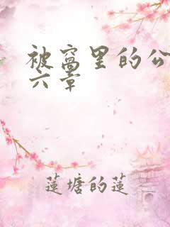 被窝里的公息十六章