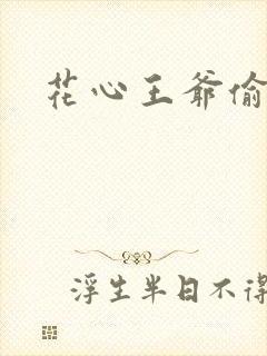 花心王爷偷心妾