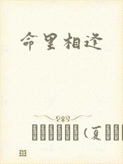 命里相逢