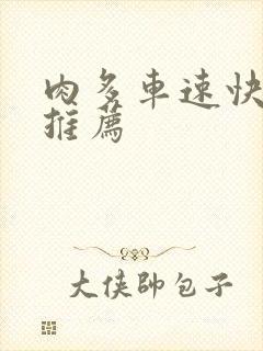 肉多车速快的书推荐