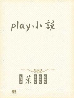 play小说