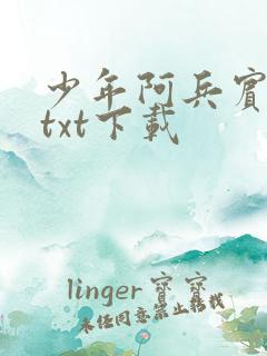 少年阿兵宾小说txt下载
