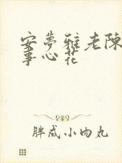 安梦雅老陈的故事心花