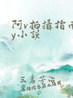 阿v拍摄指南by小说