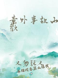 意外事故山月辞欢