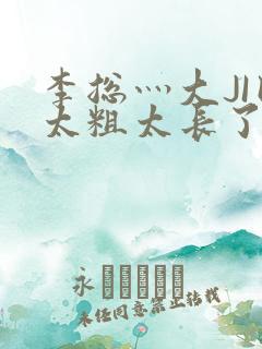 李总灬大JI巴太粗太长了