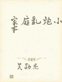 家庭乱炮小说全本