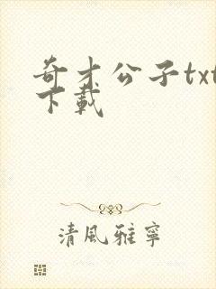 奇才公子txt下载
