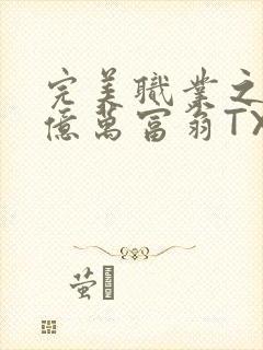 完美职业之我是亿万富翁TXT