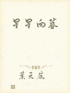 星星向蓉