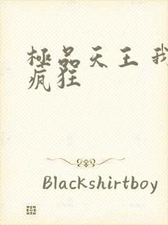 极品天王 我本疯狂