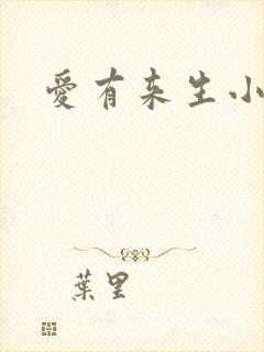 爱有来生小说