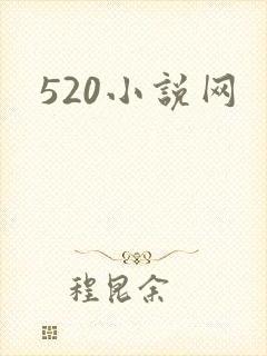 520小说网