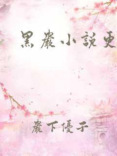 黑岩小说更新吧