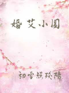 婚 艾小图