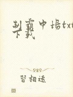 制霸中场txt下载