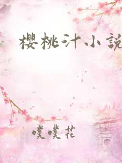 樱桃汁小说