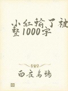 小红输了被小明整1000字