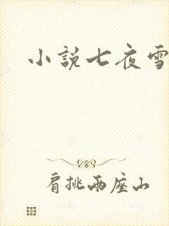 小说七夜雪下载