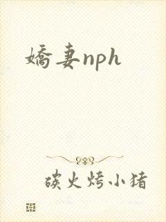 娇妻nph