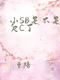 小SB是不是又欠C了