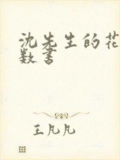 沈先生的花式调数书