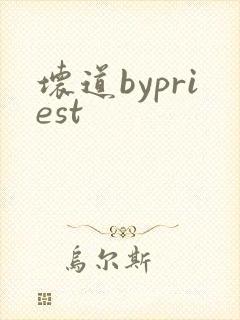 坏道bypriest