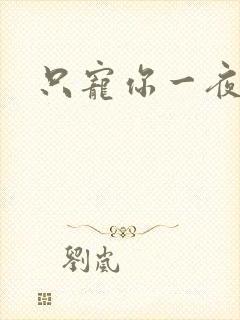 只宠你一夜
