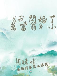 《我闪婚了个亿万富翁》小说