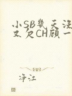 小SB几天没做又欠CH顾一成