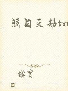 照日天劫txt