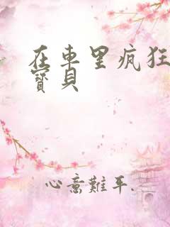 在车里疯狂挺进宝贝