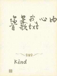 你是我心内的一首歌txt