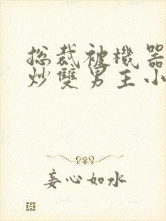 总裁被机器人爆炒双男主小说