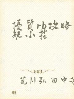 优质rb攻略系统小花