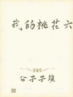 我的桃花六少