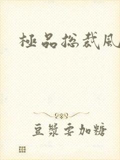 极品总裁风流录