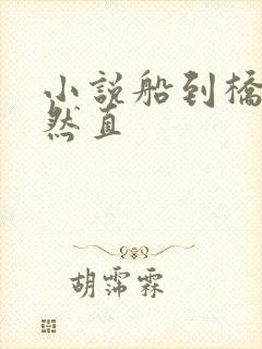 小说船到桥头自然直