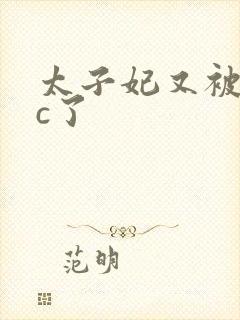 太子妃又被皇帝c了