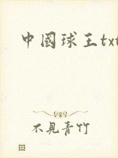 中国球王txt