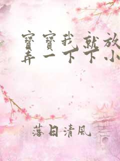 宝宝我就放进去弄一下下小说